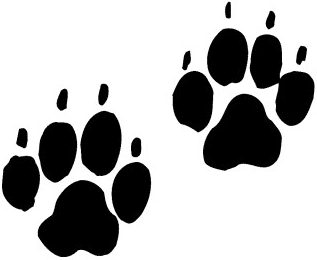 dogpaws